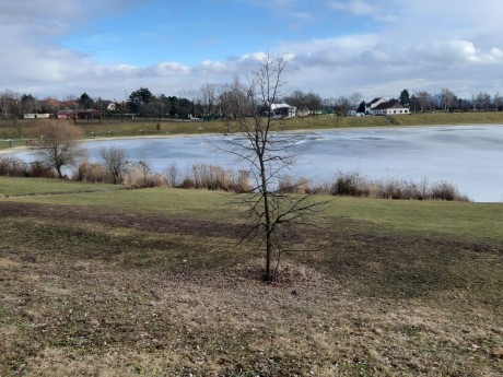 WhatsApp Image 2026-02-12 at 15.35.07